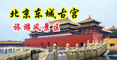 女厕所操骚逼流白浆中国北京-东城古宫旅游风景区